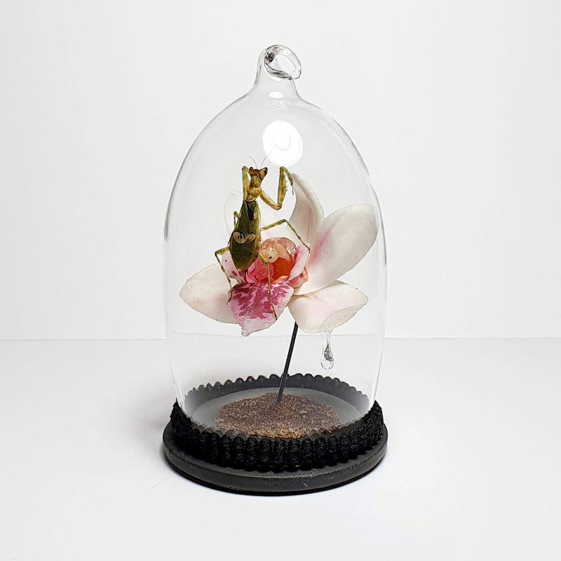 Natuur Historische Decoratie. Orchidee Bidsprinkhaan